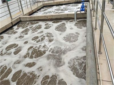 新建水產品加工廠污水處理設施策劃指南 達標才是硬道理